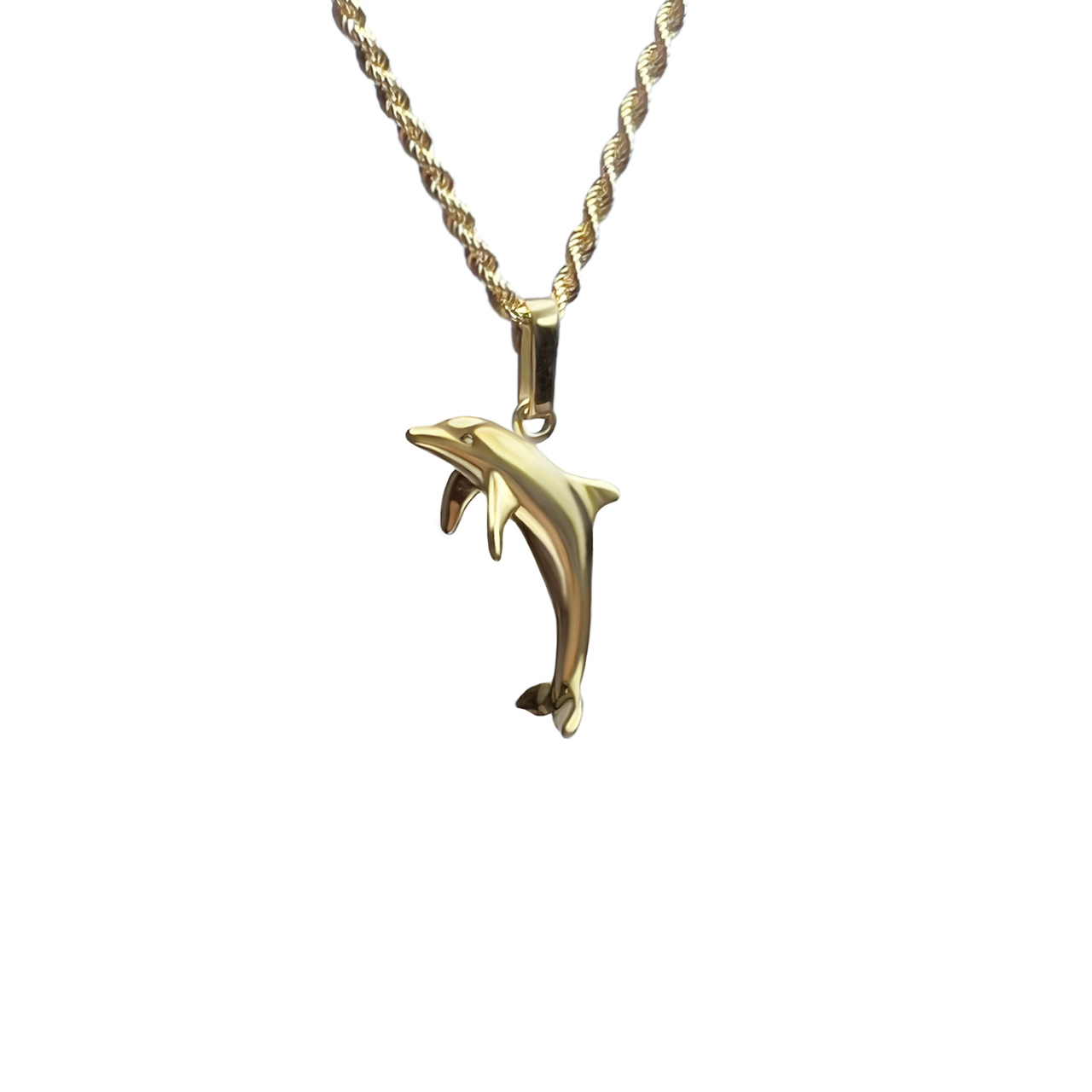 Wilmer Saufkie Dolphin necklace - ネックレス